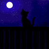 Cat on a Fence