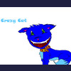 Crazy Cat