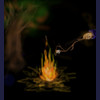 Fall Bonfire