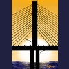 sunshine skyway