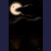 night