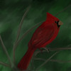 Painted cardinal