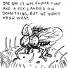 The fly and the easter day story.