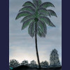 Palm tree at dusk