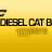 dieselcatbogota