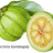 pgarcinia