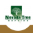nevadatreeservices