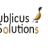 publicussolutions