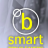 bsmartdrycleaners
