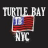 turtlebaynyc