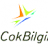 cokbilgili