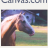 equestriancanvas
