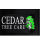 cedartreecare