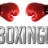 proboxinggear