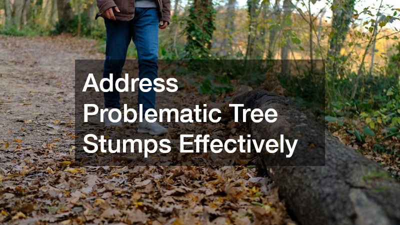 Address Problematic Tree Stumps Effectively