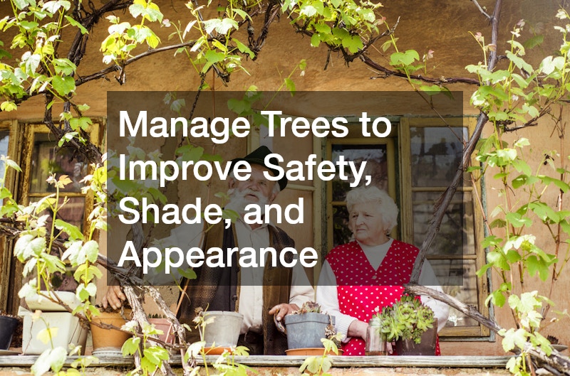 Manage Trees to Improve Safety, Shade, and Appearance
