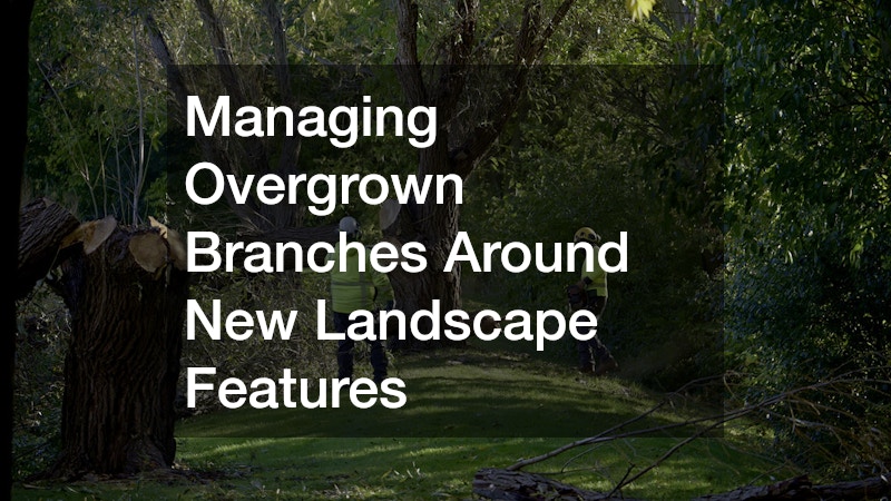 Managing Overgrown Branches Around New Landscape Features