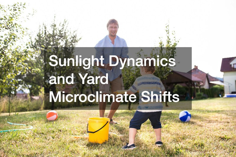 Sunlight Dynamics and Yard Microclimate Shifts
