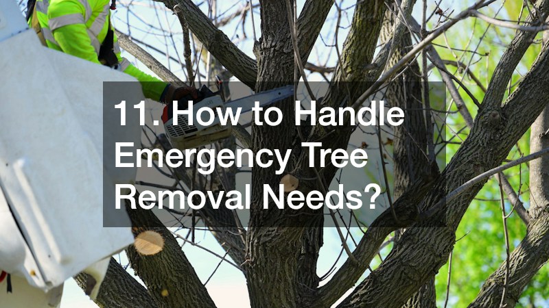11. How to Handle Emergency Tree Removal Needs?