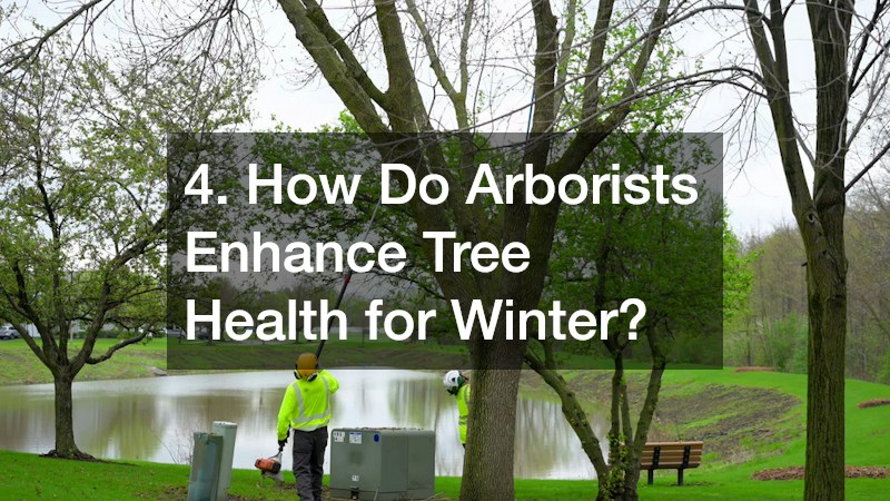 4. How Do Arborists Enhance Tree Health for Winter?