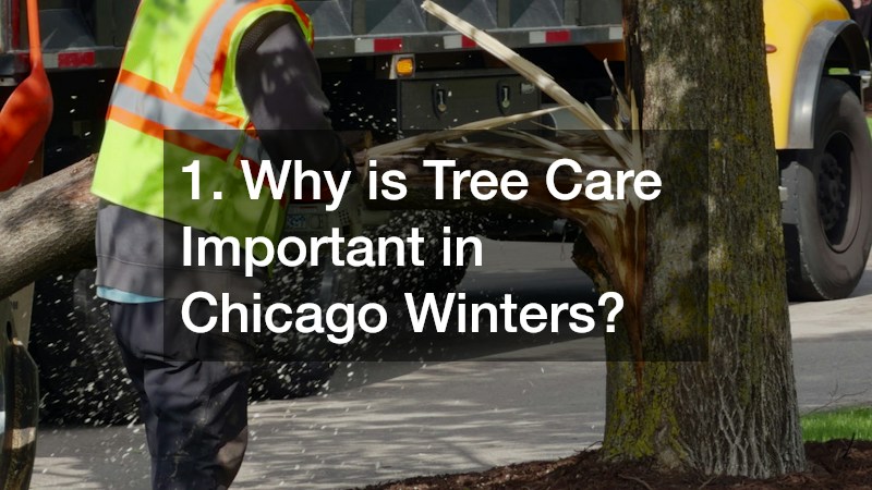 1. Why is Tree Care Important in Chicago Winters?