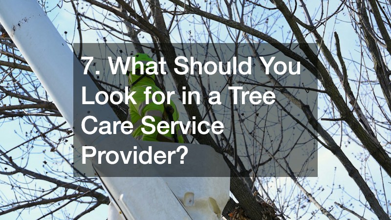 7. What Should You Look for in a Tree Care Service Provider?