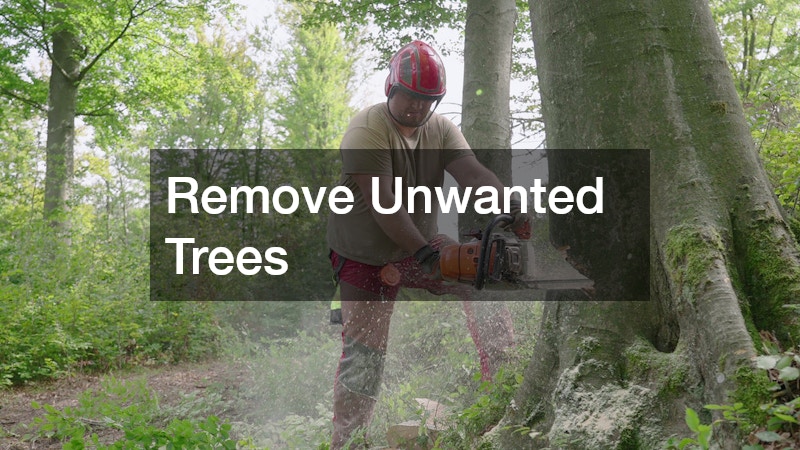 Remove Unwanted Trees