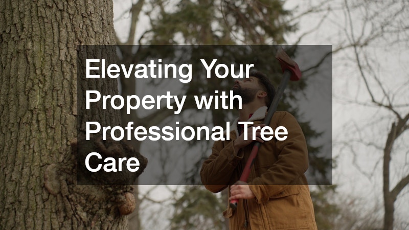 Elevating Your Property with Professional Tree Care