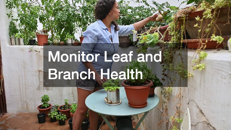 Monitor Leaf and Branch Health