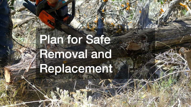 Plan for Safe Removal and Replacement