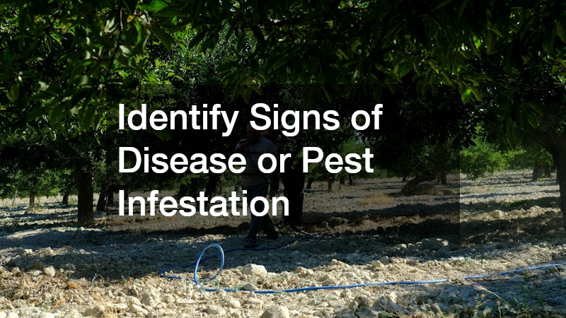 Identify Signs of Disease or Pest Infestation