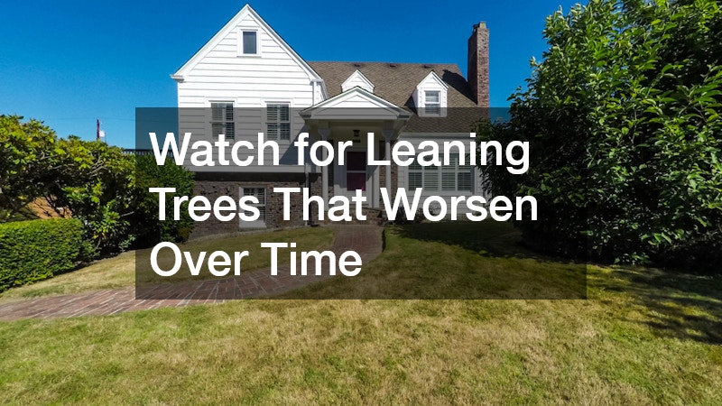 Watch for Leaning Trees That Worsen Over Time