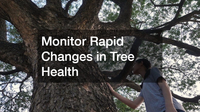 Monitor Rapid Changes in Tree Health