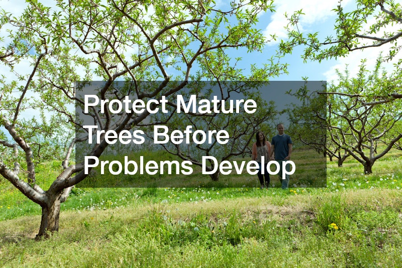 Protect Mature Trees Before Problems Develop