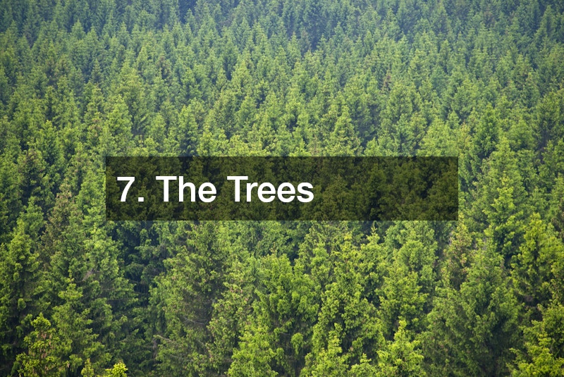 7. The Trees