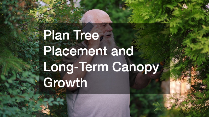 Plan Tree Placement and Long-Term Canopy Growth