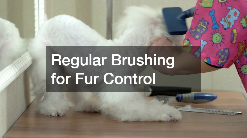 Regular Brushing for Fur Control