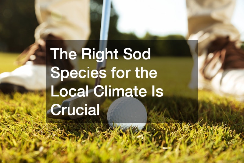 The Right Sod Species for the Local Climate Is Crucial
