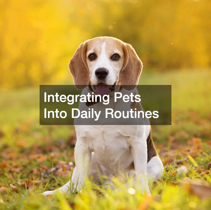 Integrating Pets Into Daily Routines