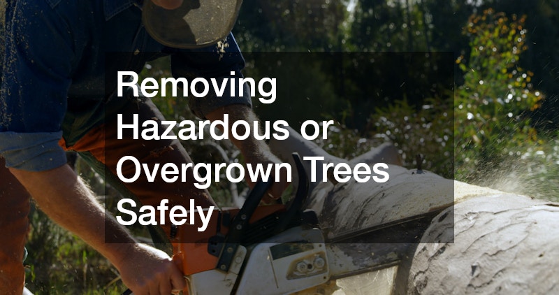 Removing Hazardous or Overgrown Trees Safely