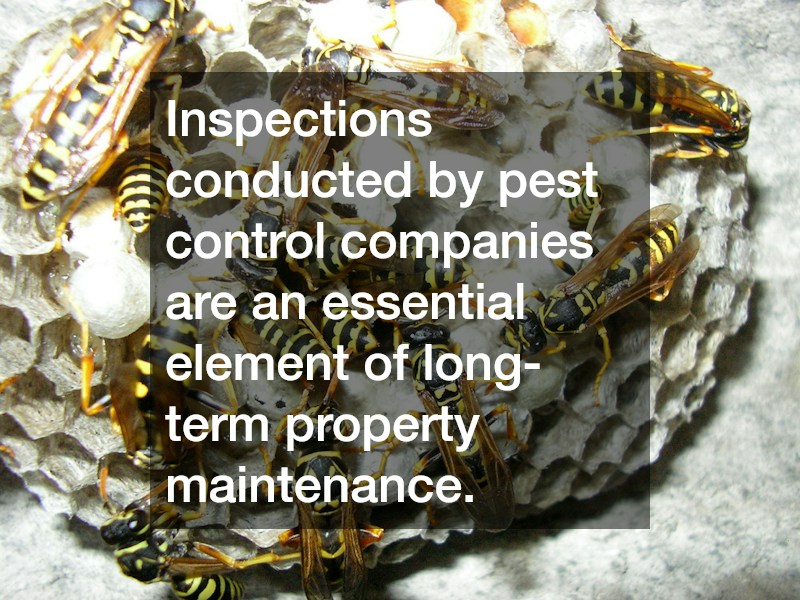 Inspections conducted by pest control companies are an essential element of long-term property maintenance.