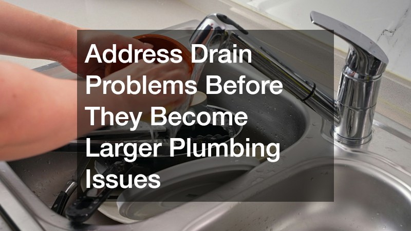 Address Drain Problems Before They Become Larger Plumbing Issues