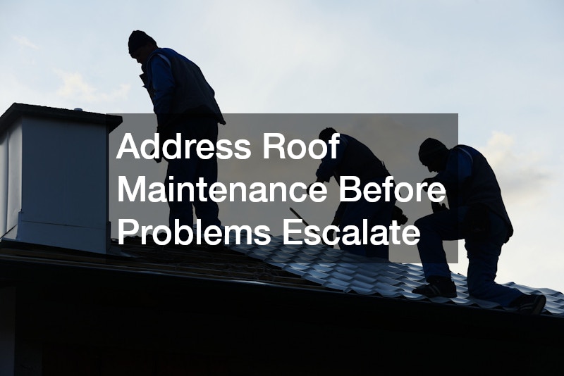 Address Roof Maintenance Before Problems Escalate