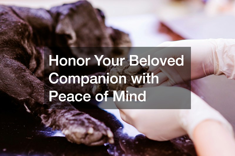 Honor Your Beloved Companion with Peace of Mind