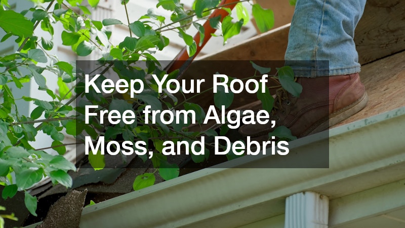 Keep Your Roof Free from Algae, Moss, and Debris