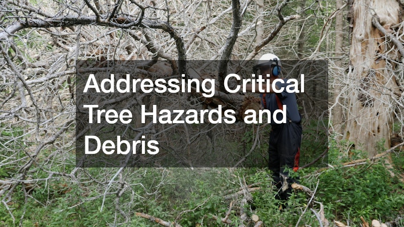 Addressing Critical Tree Hazards and Debris