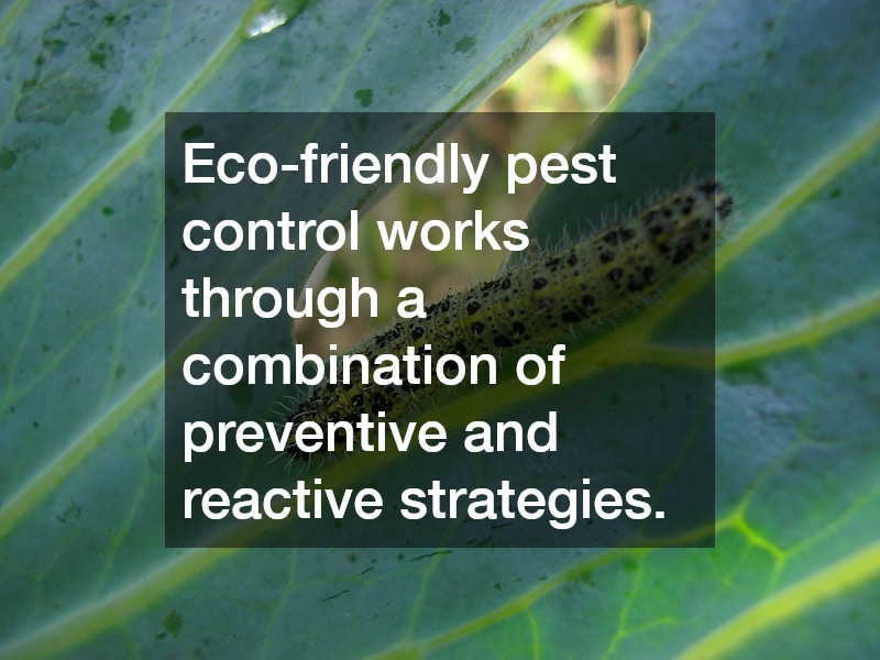 Eco-friendly pest control works through a combination of preventive and reactive strategies.