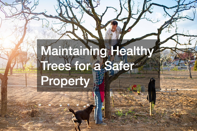 Maintaining Healthy Trees for a Safer Property