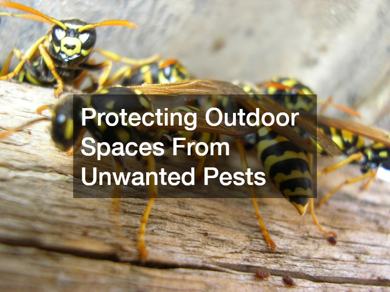Protecting Outdoor Spaces From Unwanted Pests
