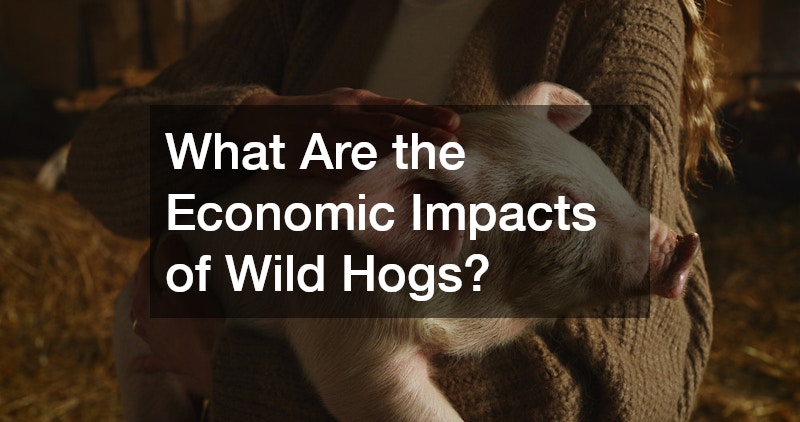 What Are the Economic Impacts of Wild Hogs?